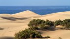 Duny v okolí Maspalomas jsou zajímavým přírodním úkazem.