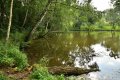 Bezejmenný rybníček v přírodní památce Hostivické rybníky