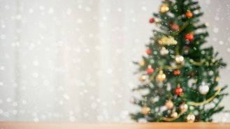 Jak vybírat vánoční stromeček?