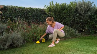 7 tipů, jak si vypěstovat a udržet krásný a zdravý trávník