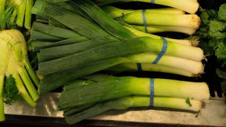 Pórek: Nenápadná hvězda (nejen) kuchyně