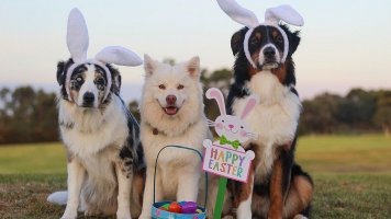 Zábavný kvíz: Letem velikonočním světem