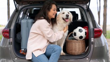 8 rad pro cestování se psem