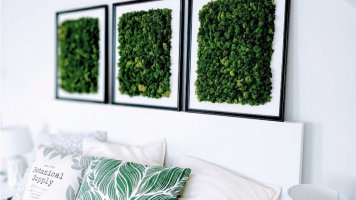 Netradiční zeleň v bytě