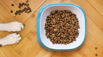 5 rad, jak skladovat granule pro pejsky