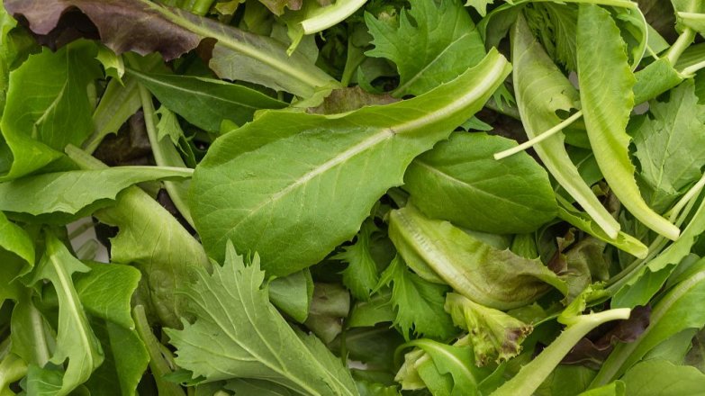 3 druhy zeleniny, které musí být v každém jarním salátu