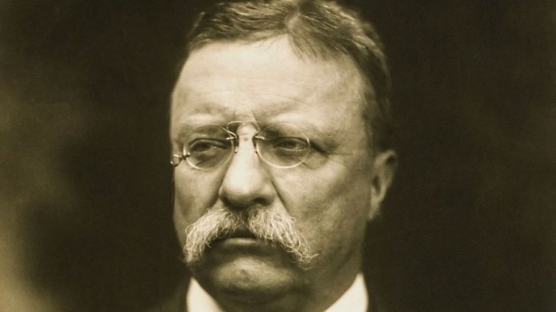Theodore Roosevelt (†60): Prezident USA, po kterém byl pojmenován plyšový medvídek