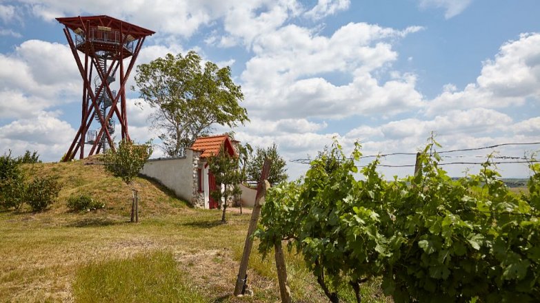 Výlety za rozhlednami na vinicích