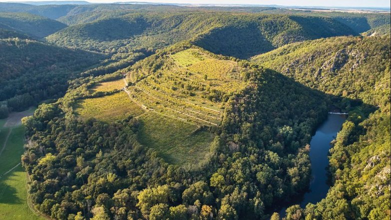 Kam za vínem v každé vinařské podoblasti Česka