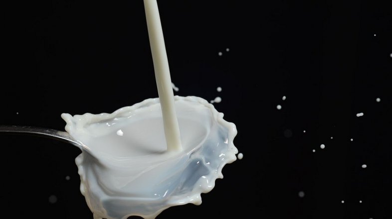 Mléko a mléčné výrobky na stůl každý den
