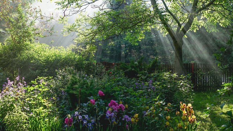 11 rad, jak připravit zahradu na jaro